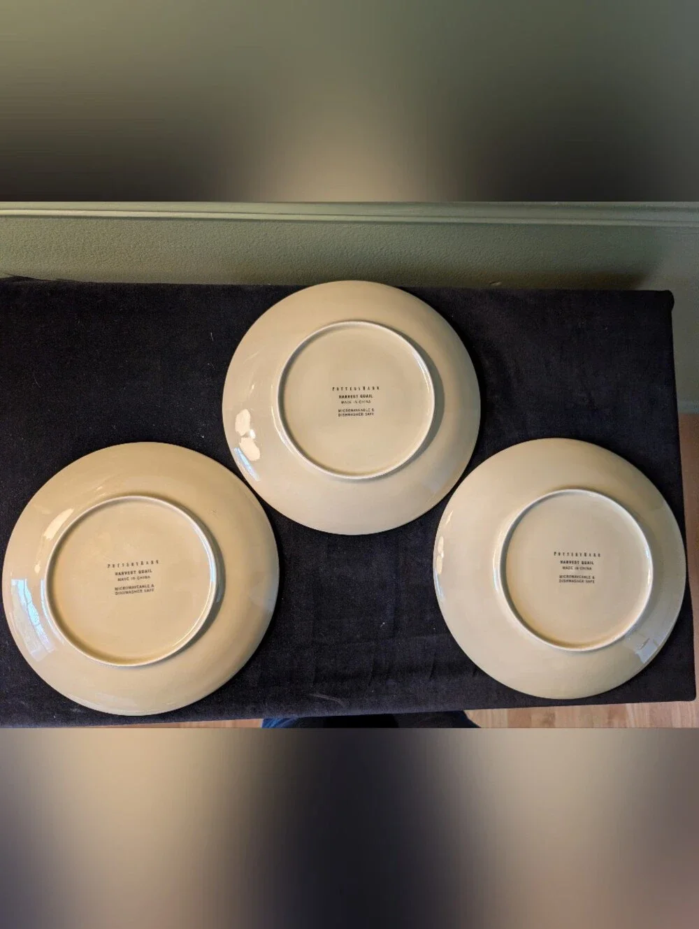 Pottery Barn Harvest Quail 9